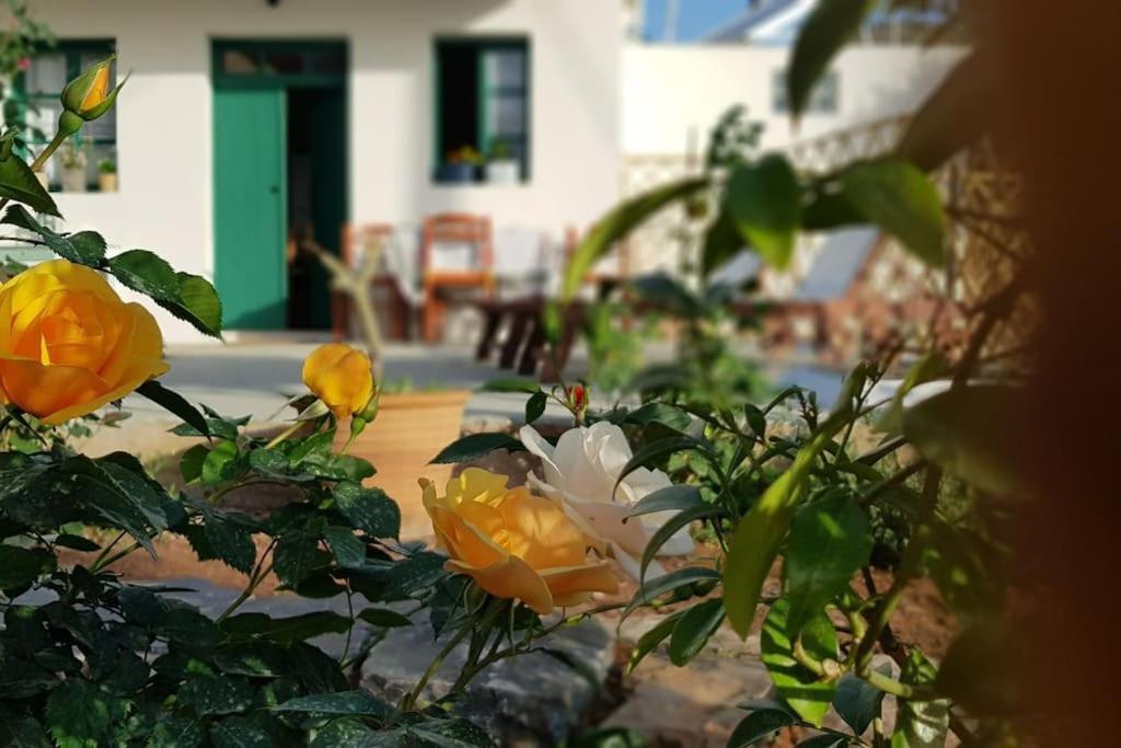Erofili Cottage House Elounda Eksteriør bilde